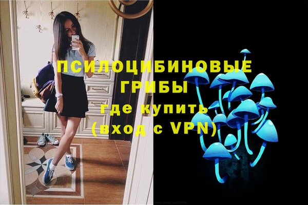 крисы Абдулино