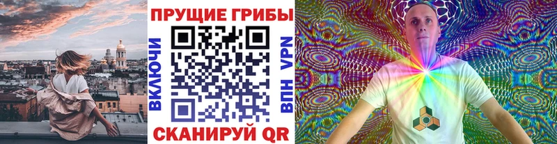 как найти   Якутск  Псилоцибиновые грибы ЛСД 